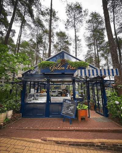 The Golden Pine glasshouse café at Orchid Forest Cikole