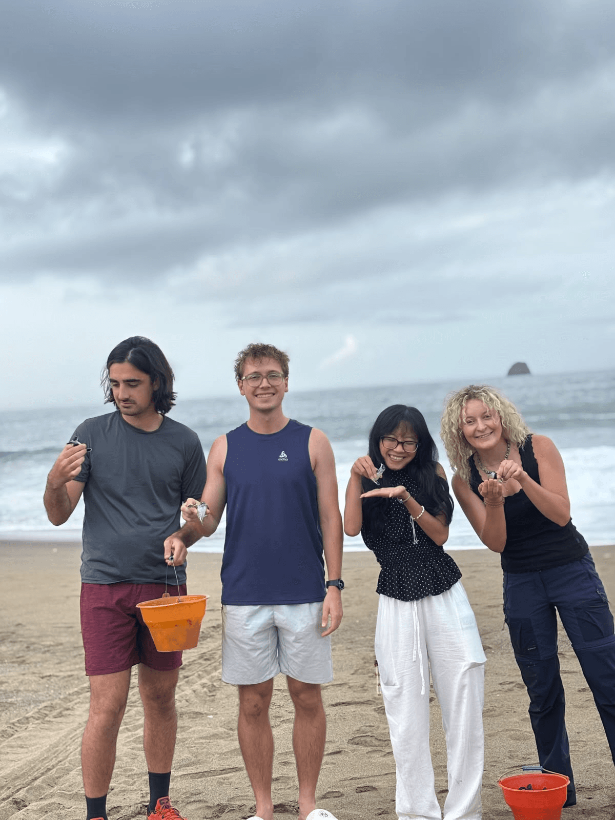 Releasing turtle hatchlings at Sukamade beach