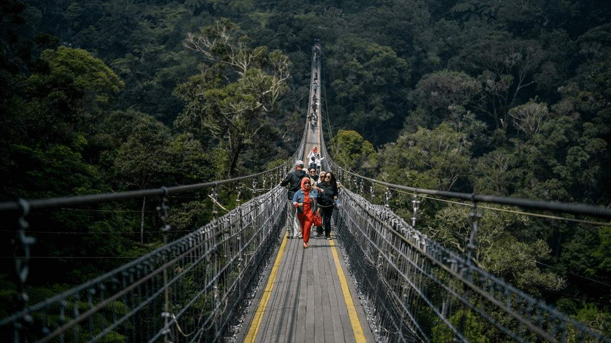 The long suspension bridge over the forest at Rengganis