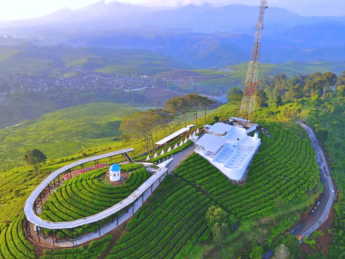 Viewpoint above the tea fields at Nimo Highland