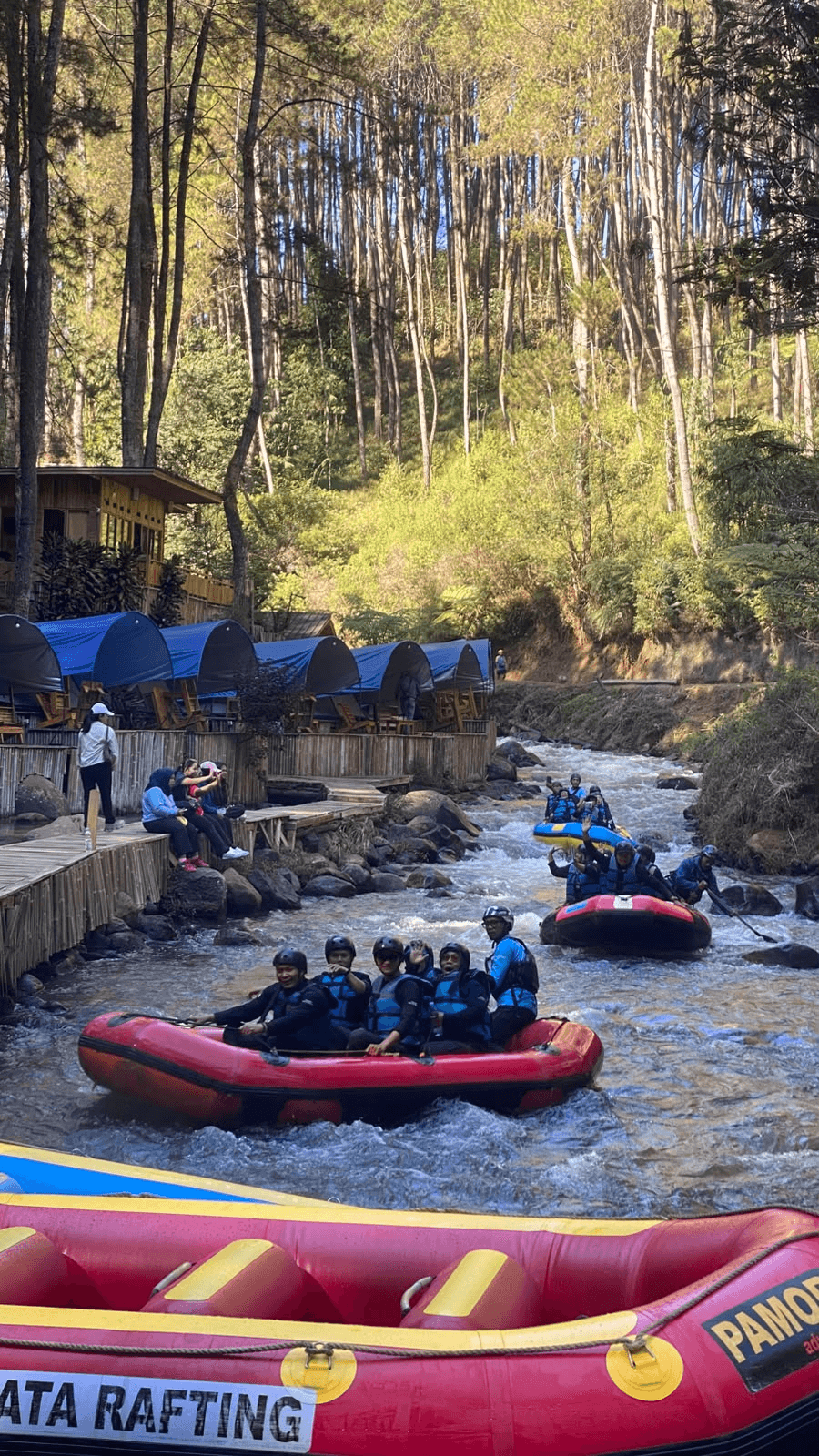 Rafts on the river below the pine forest, with camp tents on the bank
